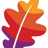Apache Superset logo