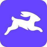 Directus logo