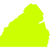 Kong logo